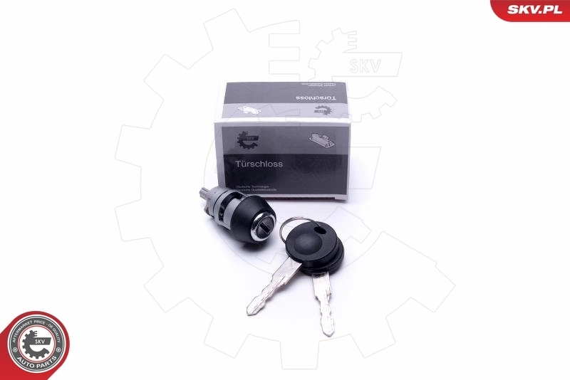 Steering Lock